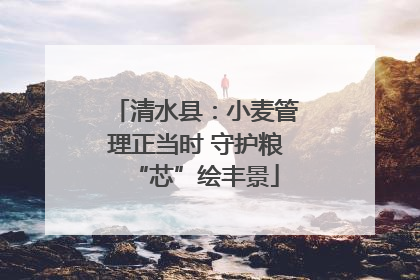 清水县：小麦管理正当时 守护粮“芯”绘丰景