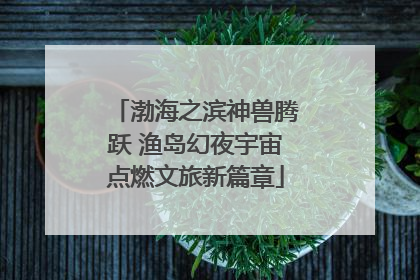 渤海之滨神兽腾跃 渔岛幻夜宇宙点燃文旅新篇章