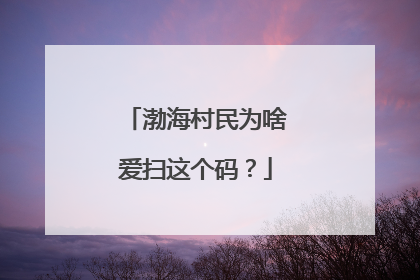 渤海村民为啥爱扫这个码？