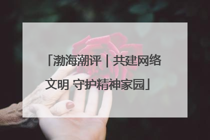 渤海潮评｜共建网络文明 守护精神家园