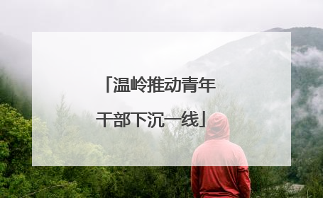 温岭推动青年干部下沉一线