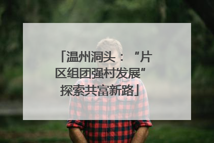 温州洞头：“片区组团强村发展”探索共富新路
