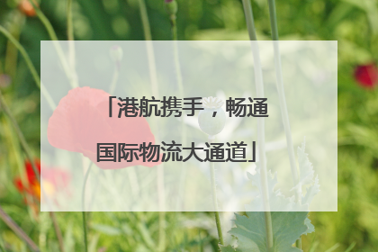 港航携手，畅通国际物流大通道