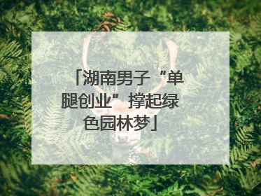 湖南男子“单腿创业”撑起绿色园林梦