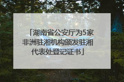 湖南省公安厅为5家非洲驻湘机构颁发驻湘代表处登记证书