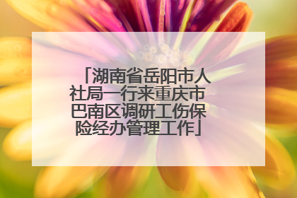 湖南省岳阳市人社局一行来重庆市巴南区调研工伤保险经办管理工作