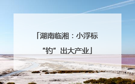 湖南临湘：小浮标“钓”出大产业