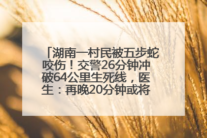湖南一村民被五步蛇咬伤！交警26分钟冲破64公里生死线，医生：再晚20分钟或将呼吸肌麻痹