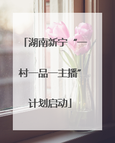 湖南新宁“一村一品一主播”计划启动