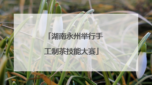 湖南永州举行手工制茶技能大赛