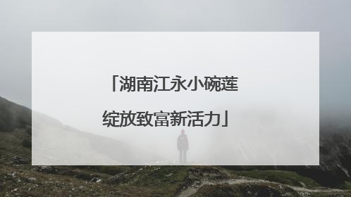 湖南江永小碗莲绽放致富新活力