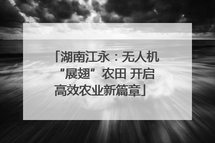湖南江永：无人机“展翅”农田 开启高效农业新篇章