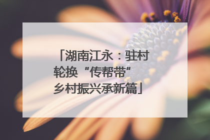 湖南江永：驻村轮换“传帮带” 乡村振兴承新篇