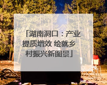 湖南洞口：产业提质增效 绘就乡村振兴新图景