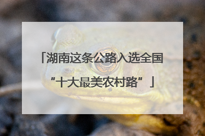 湖南这条公路入选全国“十大最美农村路”