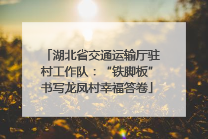湖北省交通运输厅驻村工作队：“铁脚板”书写龙凤村幸福答卷