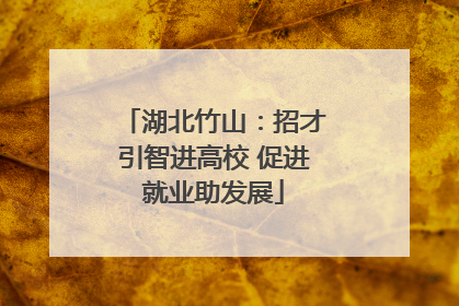 湖北竹山：招才引智进高校 促进就业助发展