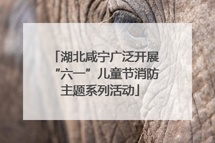 湖北咸宁广泛开展“六一”儿童节消防主题系列活动