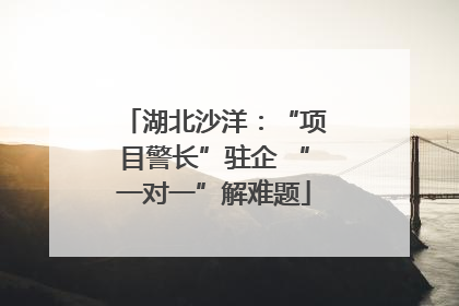 湖北沙洋：“项目警长”驻企 “一对一”解难题
