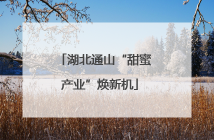 湖北通山“甜蜜产业”焕新机
