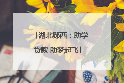 湖北郧西：助学贷款 助梦起飞