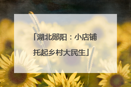 湖北郧阳：小店铺托起乡村大民生