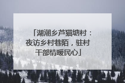 湖潮乡芦猫塘村：夜访乡村巷陌，驻村干部情暖民心