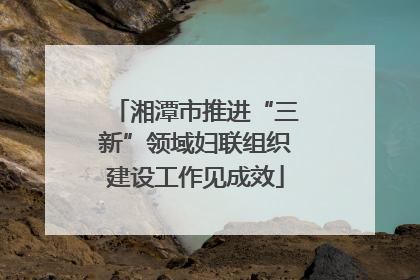 湘潭市推进“三新”领域妇联组织建设工作见成效