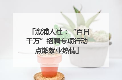 溆浦人社：“百日千万”招聘专项行动点燃就业热情