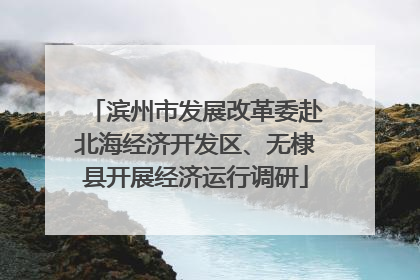 滨州市发展改革委赴北海经济开发区、无棣县开展经济运行调研