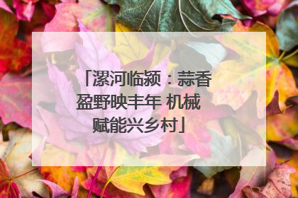 漯河临颍：蒜香盈野映丰年 机械赋能兴乡村