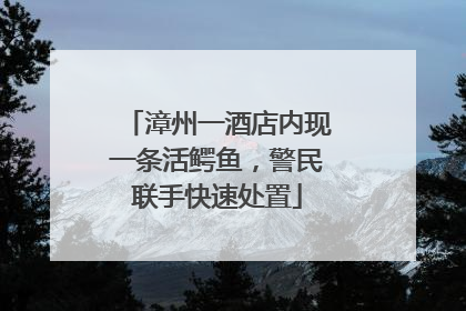 漳州一酒店内现一条活鳄鱼，警民联手快速处置