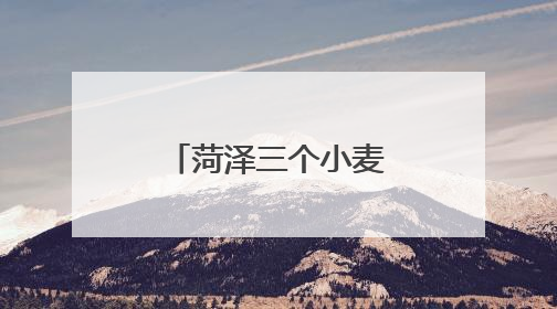 菏泽三个小麦新品种在新疆戈壁滩试种成功