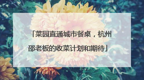 菜园直通城市餐桌，杭州邵老板的收菜计划和期待