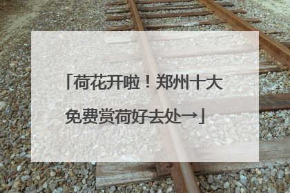 荷花开啦！郑州十大免费赏荷好去处→