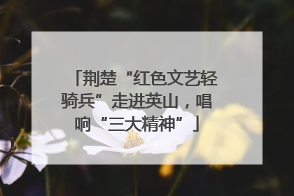 荆楚“红色文艺轻骑兵”走进英山，唱响“三大精神”