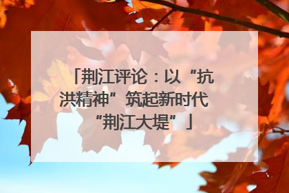 荆江评论：以“抗洪精神”筑起新时代“荆江大堤”