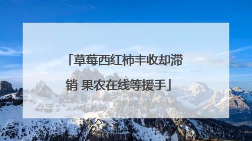 草莓西红柿丰收却滞销 果农在线等援手