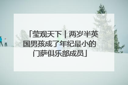 莹观天下｜两岁半英国男孩成了年纪最小的门萨俱乐部成员
