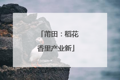 莆田：稻花香里产业新