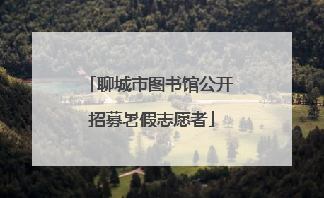 聊城市图书馆公开招募暑假志愿者