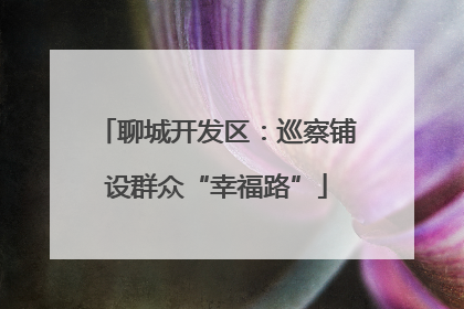 聊城开发区：巡察铺设群众“幸福路”