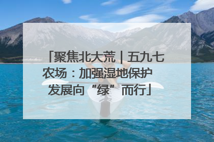 聚焦北大荒｜五九七农场：加强湿地保护 发展向“绿”而行
