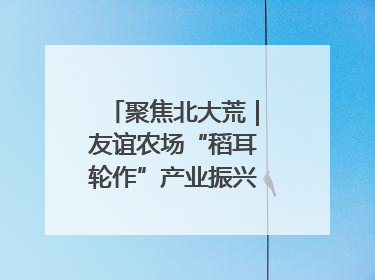 聚焦北大荒｜友谊农场“稻耳轮作”产业振兴“花开两朵”
