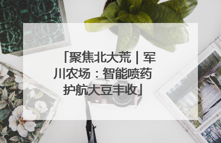 聚焦北大荒｜军川农场：智能喷药护航大豆丰收