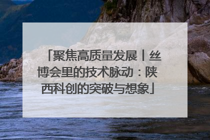 聚焦高质量发展丨丝博会里的技术脉动：陕西科创的突破与想象