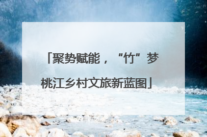 聚势赋能，“竹”梦桃江乡村文旅新蓝图