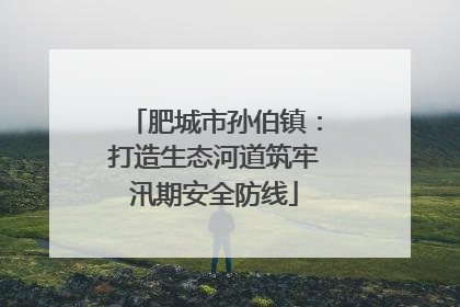 肥城市孙伯镇：打造生态河道筑牢汛期安全防线