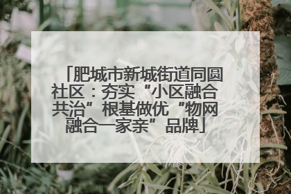 肥城市新城街道同圆社区：夯实“小区融合共治”根基做优“物网融合一家亲”品牌