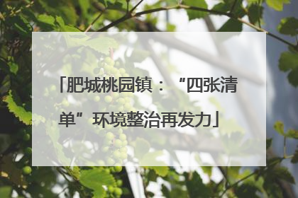 肥城桃园镇：“四张清单”环境整治再发力